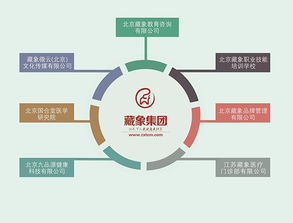 藏象集團 引領網絡技術服務新紀元，賦能企業數字化轉型